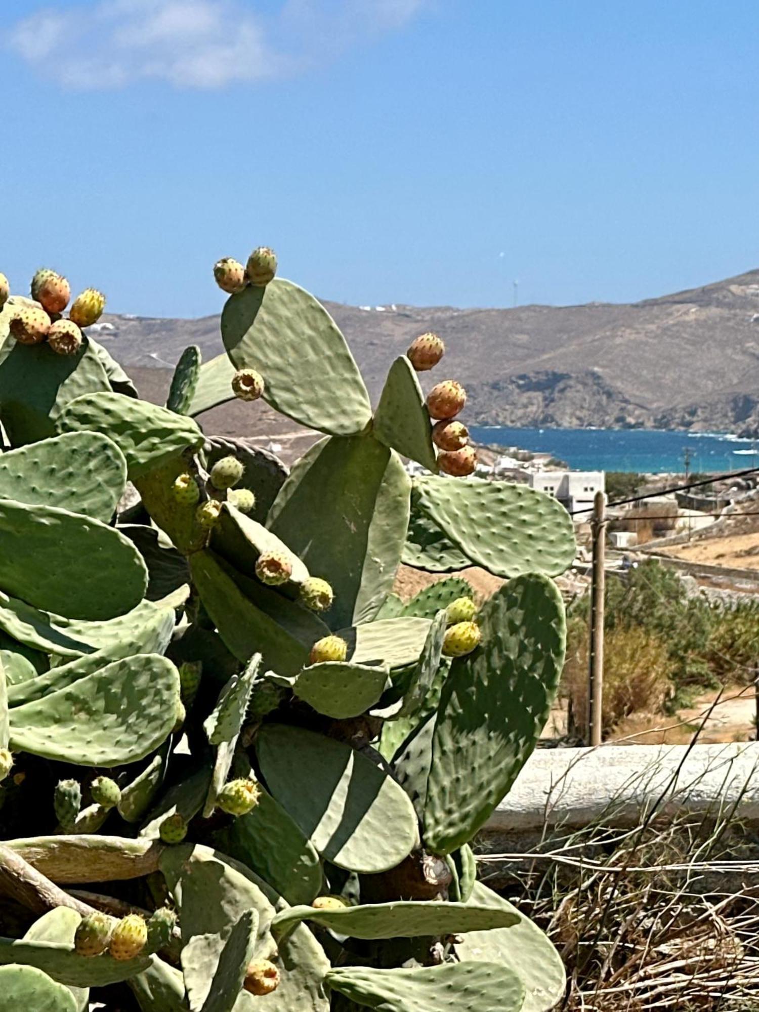 Eleni's Village Διαμέρισμα